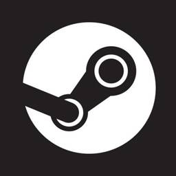 Steam (PC)